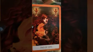 NEXT 12 48 HOURS Shorts Viralvideo Trending 