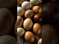 21 Unique Easter Egg Art Ideas You Must Try In 2025