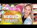 SQUISHMALLOW HUNT WITH ME I HIT THE JACKPOT