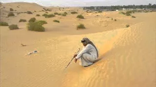 يا طير وضبتك بتدريب دندنها