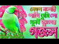 Lagu কোন বনেরি পাখি তুমি |খুবই দুঃখের গজল |মন মাতানো গজল | Islamic gojol Bangla Gazal, Best Islamic Gajal