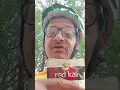 Pure leaf kratom review - Red Kali
