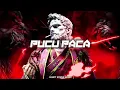 PUCU PACA (Vandy Wenur Remix)New 2024!!!