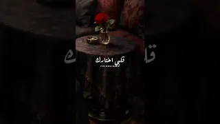 قلبي اختارك من غير كلام اكسبلور   دندنها