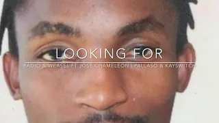 looking for radio u0026 weasel feat jose chameleon pallaso kayswitch