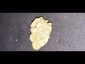 How does Surterra s Premium Indoor Flower smoke Let s see in this Burnie MAC Flower REVIEW