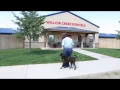 Willow Creek Kennels - Amarillo TX
