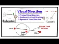 Visual Direction - Principal Oculocentric and Egocentric