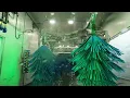 Brown Bear Car Wash Washington States Favorite Car Wash for 65 years December 12 2022 drive thru