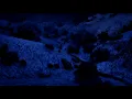 G-Eazy - All Facts ft. Ty Dolla $ign (Slowed Down)