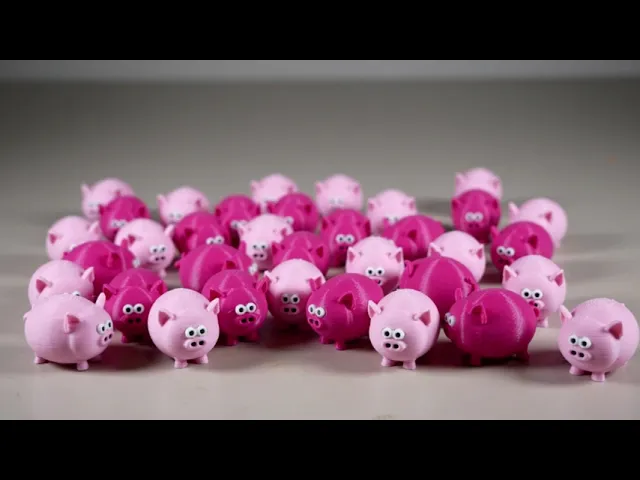 Teeny Tiny Pig video thumbnail