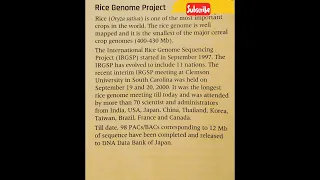 NCERT Rice Genome Project 