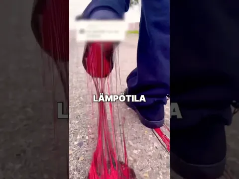 Tämä kuumuus voi polttaa koiran tassut sekunneissa! 🥵🐾