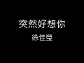 【突然好想你 Suddenly missing you so bad】徐佳瑩 LaLa《歌詞》