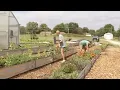 Springfield Community Gardens joins USDA s The People s Network