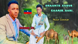 DHAANTO CUSUB ABWAAN NUUR GOOSAAR RAGA DARAJADALEH  DHAANTO CUSUB ABWAAN NUUR GOOSAAR RAGA DARAJADALEH