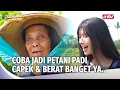 Download Lagu Nasi Yang Kita Makan Setiap Hari, Susah Banget Lho Panennya | Jadi Aku Sebentar Saja Ep 10 (1/3)