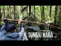 Download Lagu \