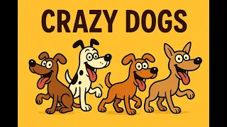 Try not to lugh Crazy Dogs &Cats