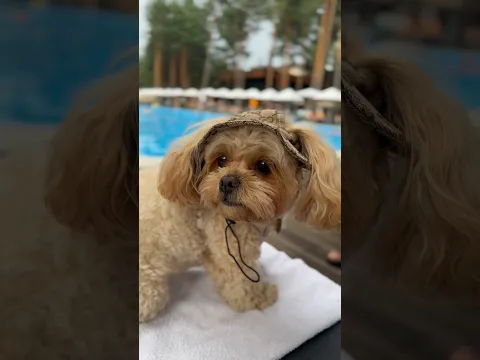 😂