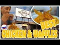 The Best Fried Chicken and Waffles in St Louis Elicious Breakfast Brunch Ferguson MO