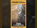 Download Lagu Nasib punya tetangga iri dengki, orang baru beli mobil langsung dibaretin