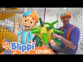 Download Lagu Patio de Juegos con Blippi 😊 Blippi Español + Blippi Wonders🧡💙