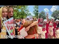My Auburn Rush Experience