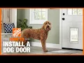 How to Install a Dog Door The Home Depot