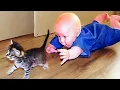 Lagu Most Funny Animal and Baby Playing Together - Funny Baby and Pets Video