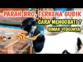 Download Lagu CARA MENYEMBUHKAN PENYAKIT GUDIK PARAH PADA TERNAK KAMBING