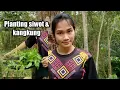 Download Lagu planting lemon basil \u0026 water spinach