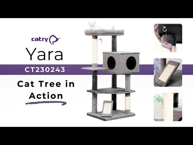Catry รุ่น Cat Tree Yara