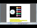 React js development services 101 reactjs development services quikieapps