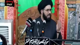 فرد واحد راد يشتري جمل -السيد محمد الصافي