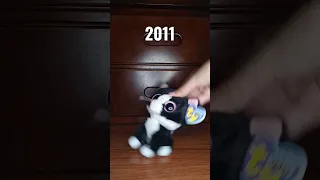 Beanie boos throughout the year