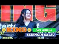 Lagu KING MUSIK ✨✨  Ayu Amelia ✨  Sedingin Salju