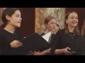 Download Lagu Anna Lapwood conducts Eric Whitacre's Seal Lullaby - Pembroke College Girls' Choir