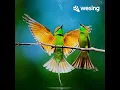 Download Lagu You Needed Me...sung by Anne Muray... cover by grecel M... for content only..