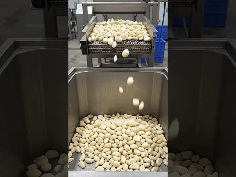 How garlic past is made in factory #viral #viralshorts #trending #trendingshorts #food