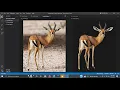 How to remove image background in Python using 3 lines of code rembg PIL Anaconda