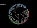 Statistical Rethinking 2022 Lecture 18 - Missing Data