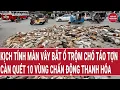 Lagu Kịch tính màn vây bắt ổ trộm chó càn quét 10 vùng chấn động Thanh Hóa, thủ đoạn cực kỳ táo tợn