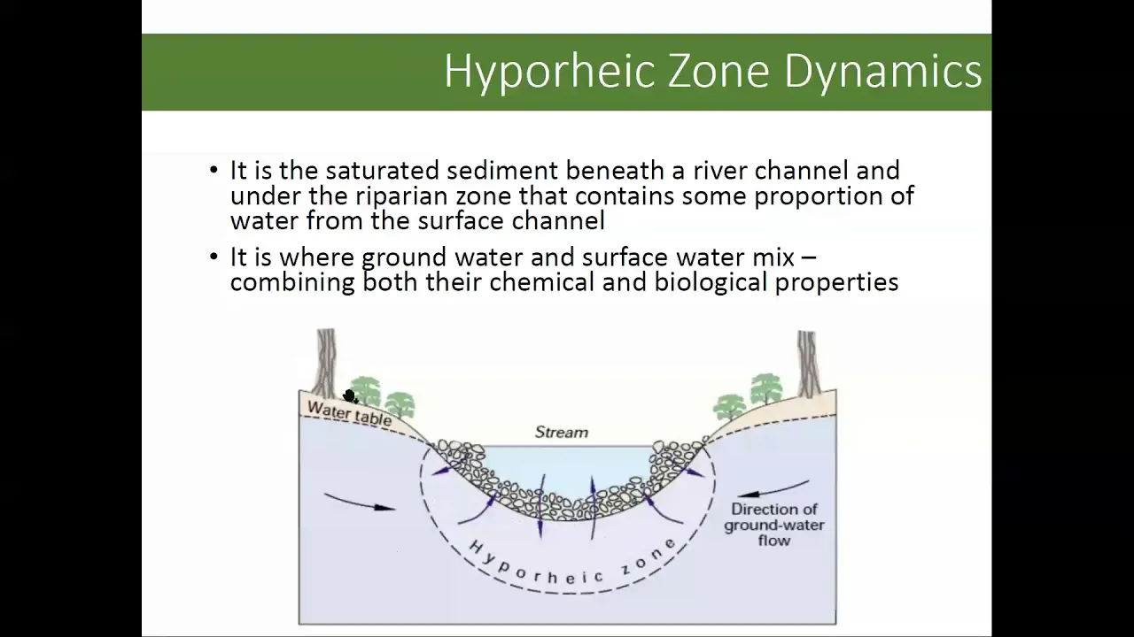 Riparian Ecology & Management Review - Part 1