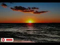 Coeur De Lion - JB King Music (Lyrics)