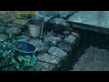 aesthetic anime gif rain