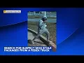 Suspect sought for theft from FedEx truck in Chester County