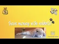 5 tips on saving money with your bunny