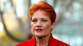 News24 Pulse: One Nation reverses trend of falling support