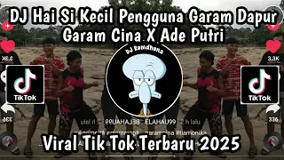DJ GARAM CINA X ADE PUTRI VIRAL TIK TOK TERBARU 2025